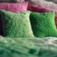 pillow harbors harmful bacteria