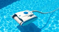 affordable pool cleaner options
