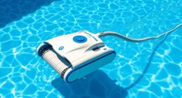 affordable pool cleaner options