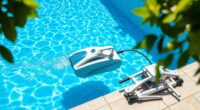affordable pool cleaning options