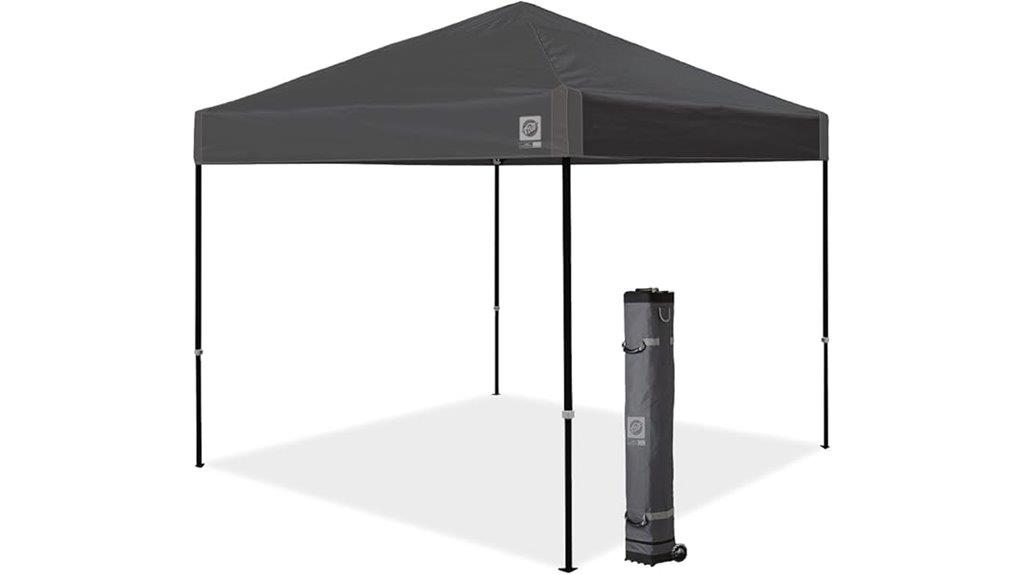 10x10 canopy with accessories