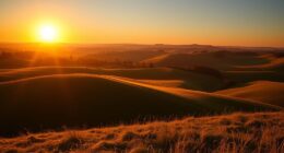 optimize sun and shade