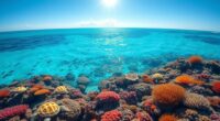 top reef safe mineral sunscreens