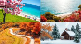 year round seasonal maintenance tasks