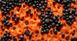 melanin s dual protective role