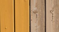 accumulating sun damage effects