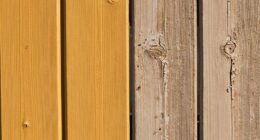 accumulating sun damage effects