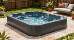 top backyard swim spas