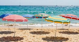 top beach umbrellas 2026