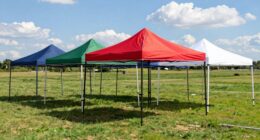 top quick setup canopies