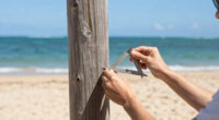 Twice a year in Hawaii the sun passes directly overhead and objects cast no shadow. It’s a phenomenon called “Lahaina Noon”